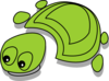 Green Tortoise Clip Art